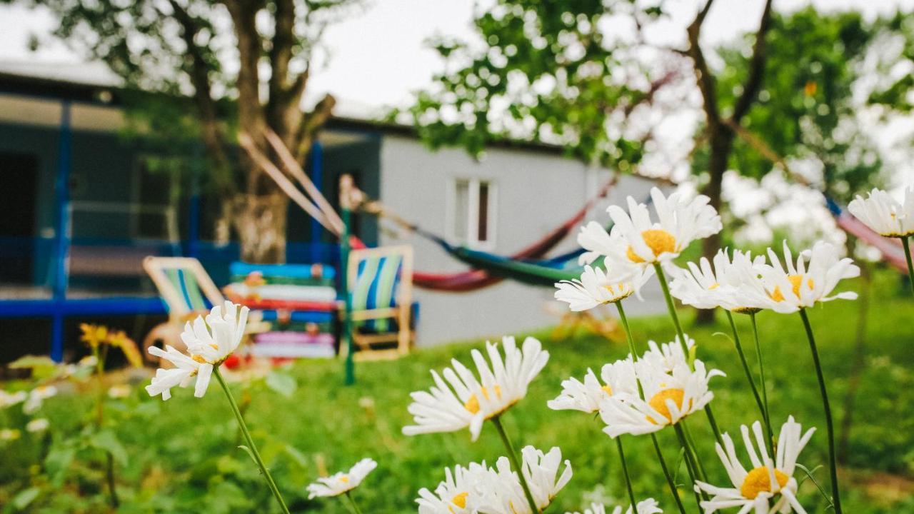Bebo Babu Guest House Kutaisi Eksteriør bilde